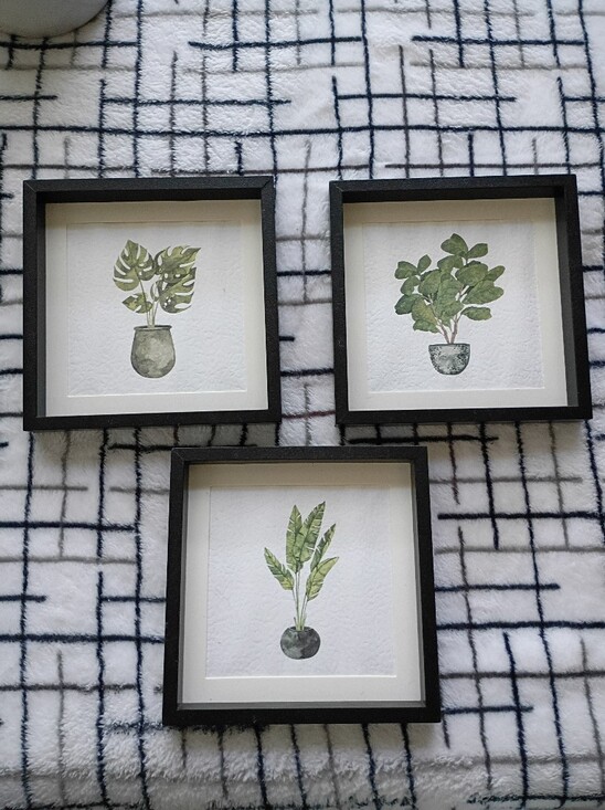 Other - Set of 3 Framed Botanical Prints - Green Plant Art NO FLAWS